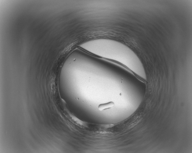 X0000060780360200511141423