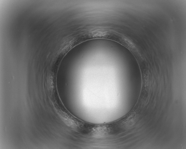 X0000060780362200511141423