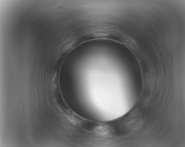 X0000060780364200511141423