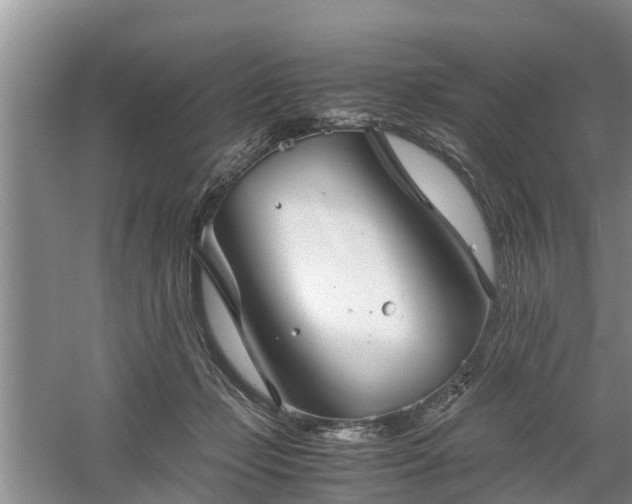 X0000060780365200511141423