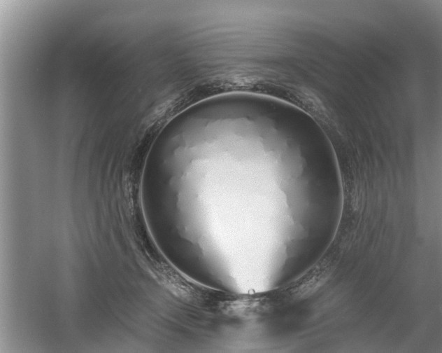 X0000060780366200511141423