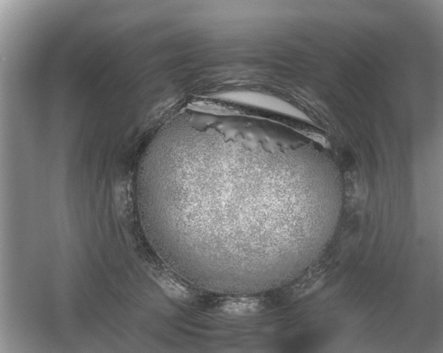 X0000060780369200511141423