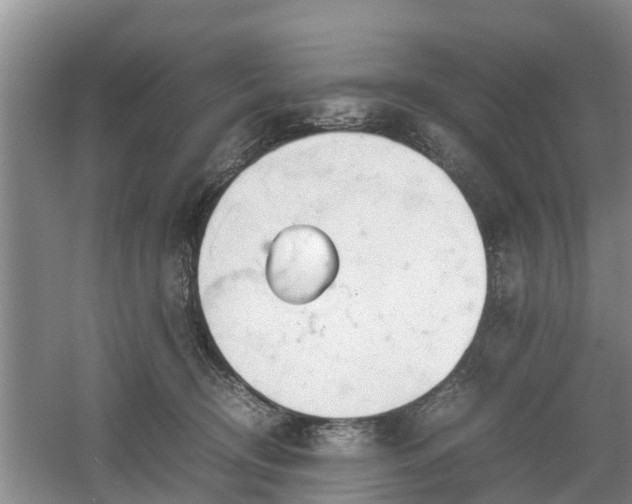 X0000060780370200511141423