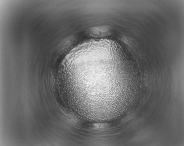 X0000060780371200511141423