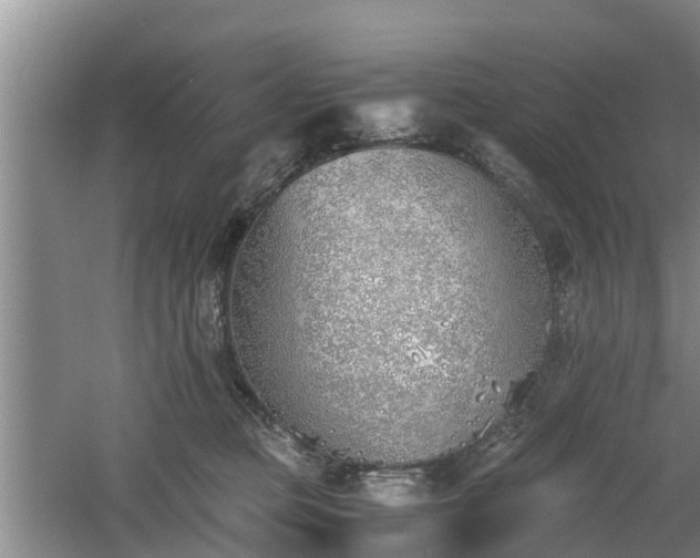 X0000060780373200511141423