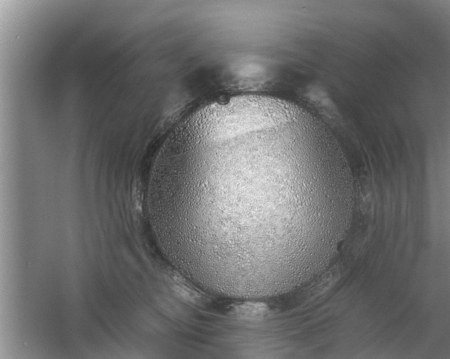 X0000060780374200511141423