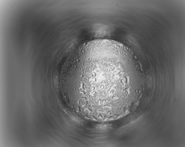 X0000060780375200511141423