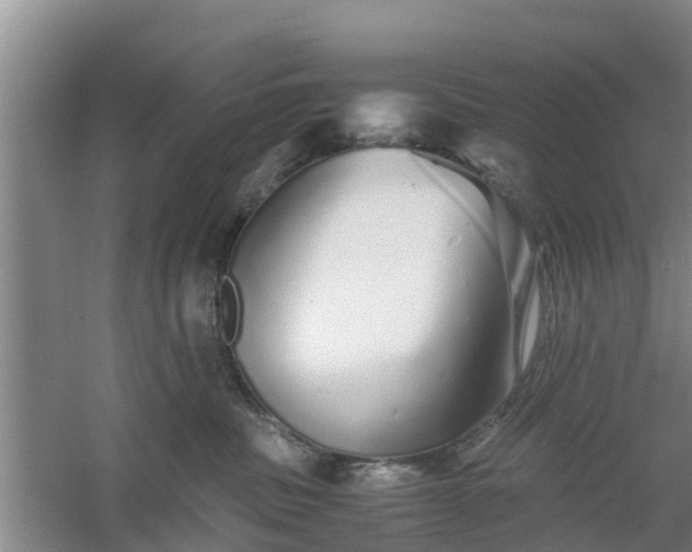 X0000060780379200511141423