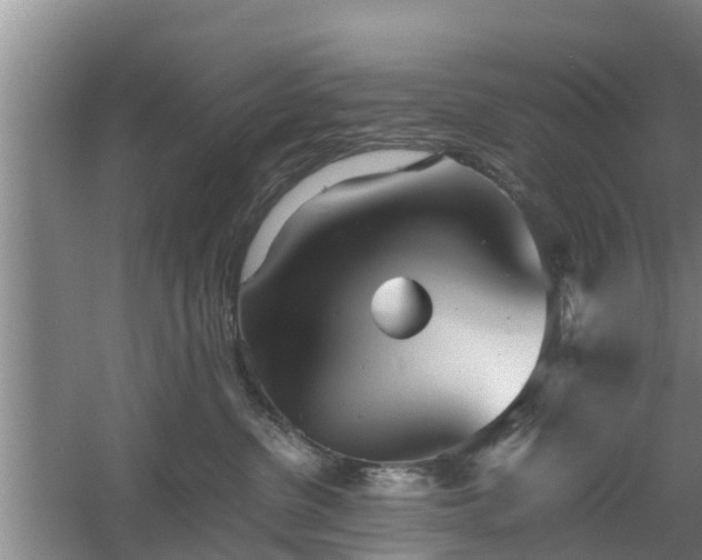 X0000060780380200511141423