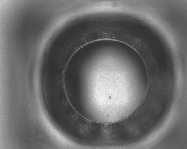 X0000060780382200511141424