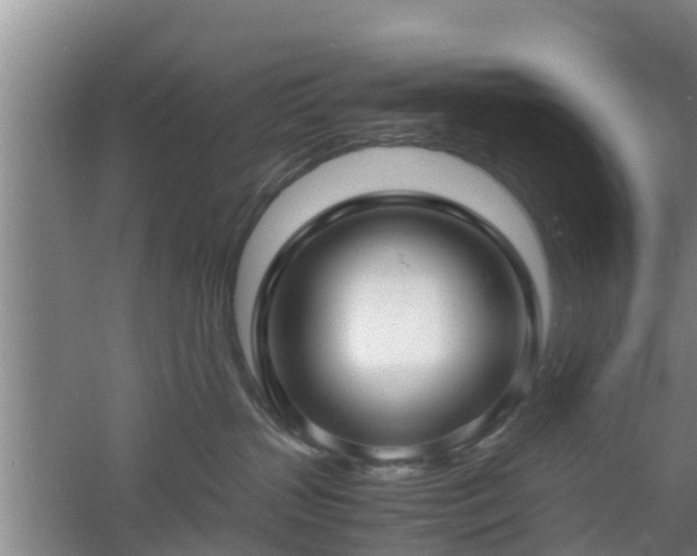 X0000060780383200511141424