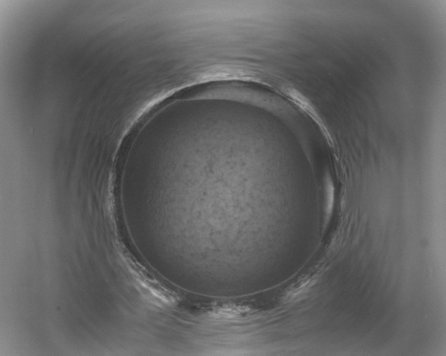 X0000060780387200511141423