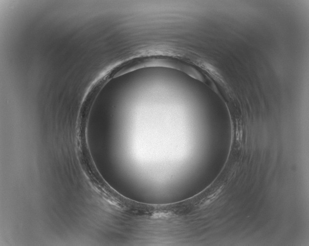 X0000060780388200511141423