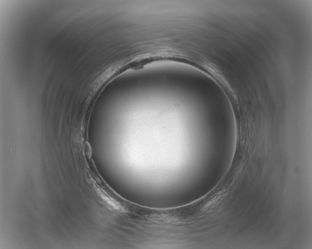 X0000060780389200511141423