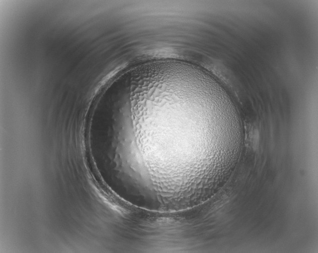 X0000060780390200511141423