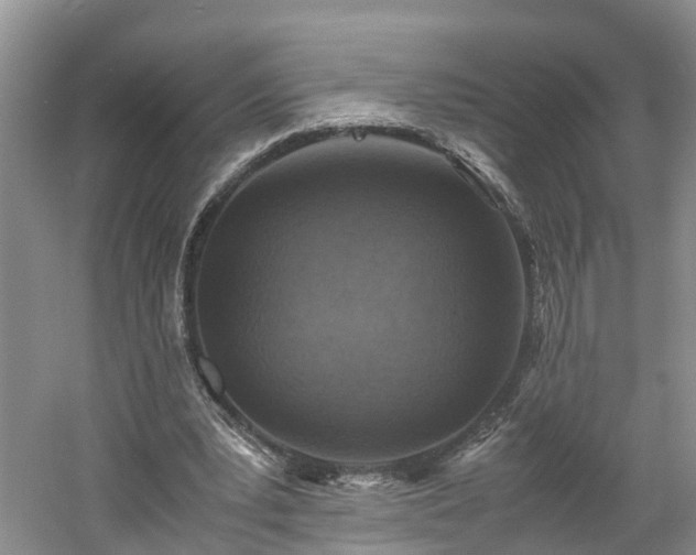 X0000060780391200511141423