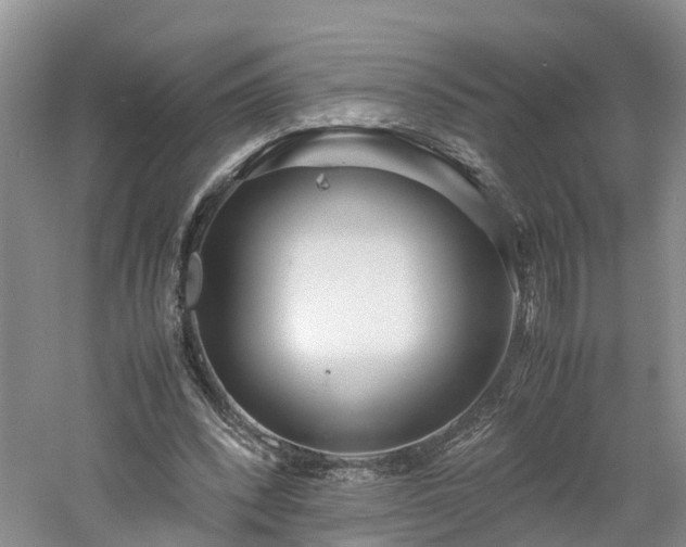 X0000060780392200511141423