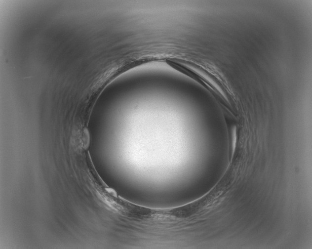 X0000060780393200511141423