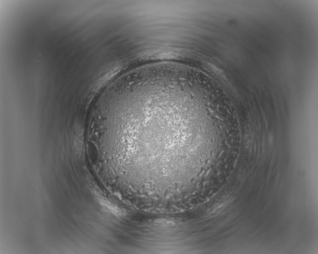 X0000060780394200511141423