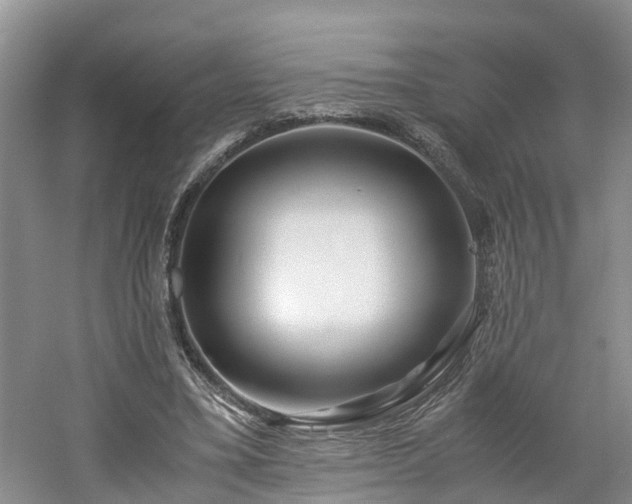 X0000060780395200511141423