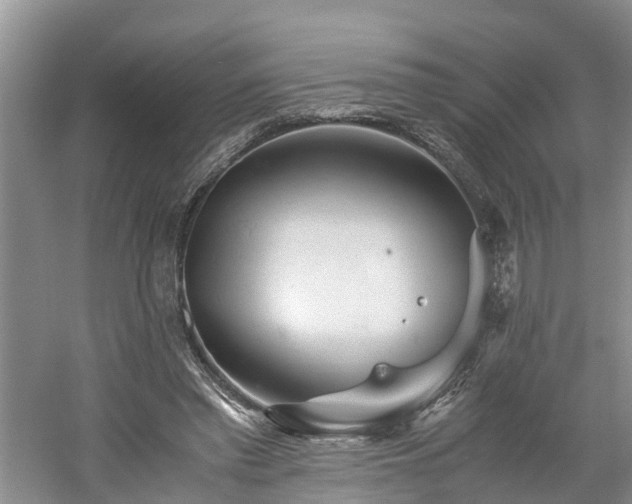 X0000060780397200511141423