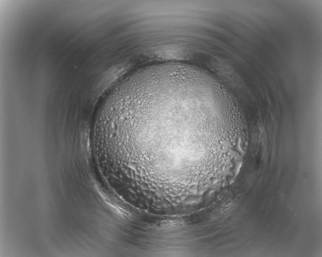 X0000060780398200511141423