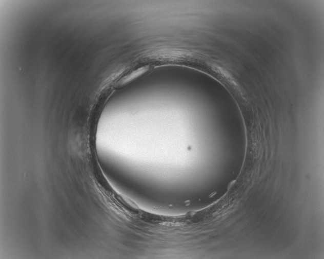 X0000060780399200511141422