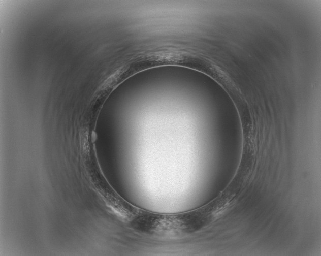 X0000060780403200511141422