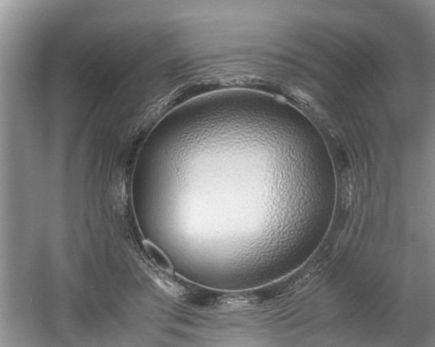 X0000060780405200511141422