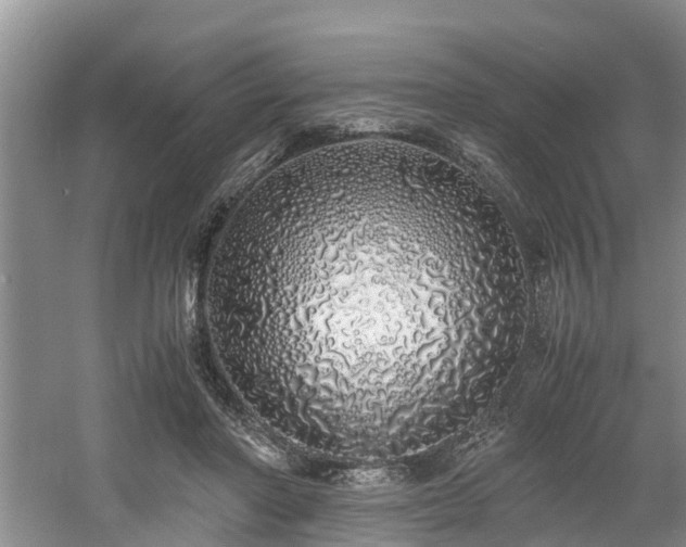 X0000060780406200511141422