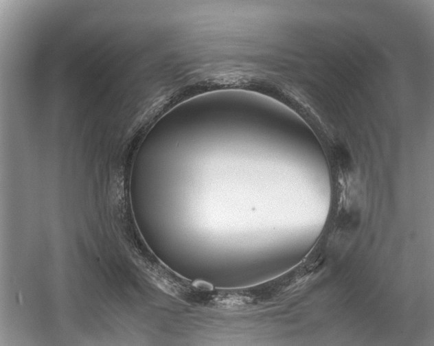 X0000060780407200511141422