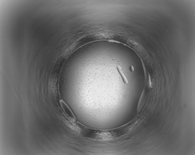 X0000060780409200511141422