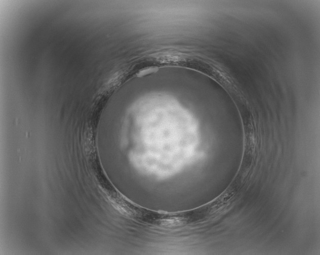 X0000060780411200511141422