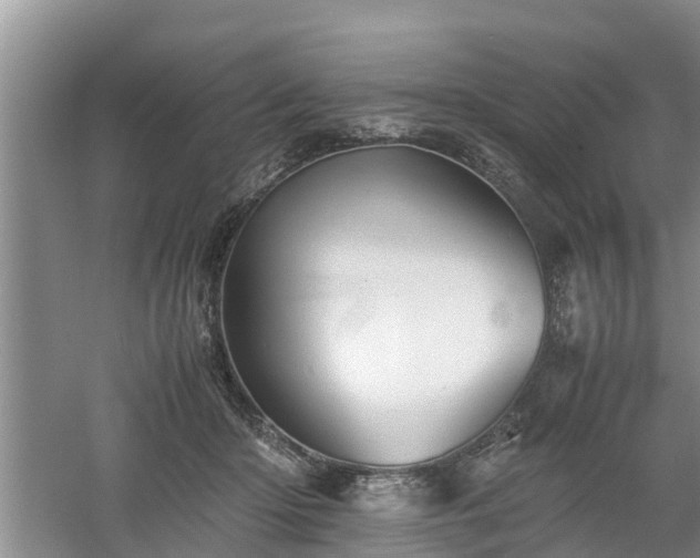 X0000060780414200511141422