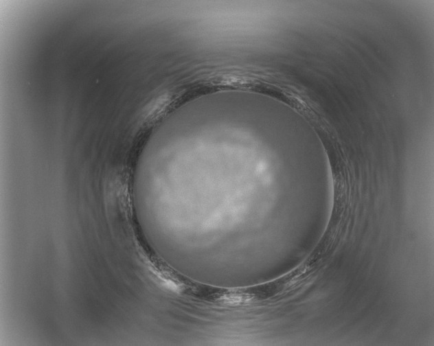 X0000060780415200511141422