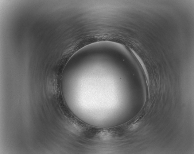 X0000060780416200511141422