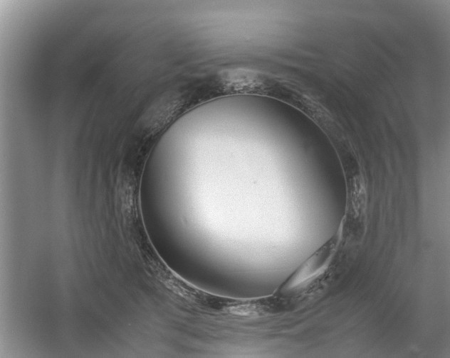 X0000060780417200511141422