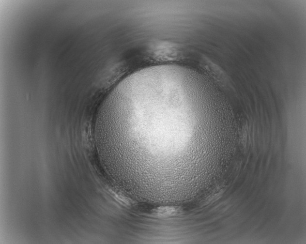 X0000060780418200511141422