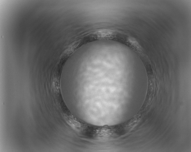 X0000060780419200511141422