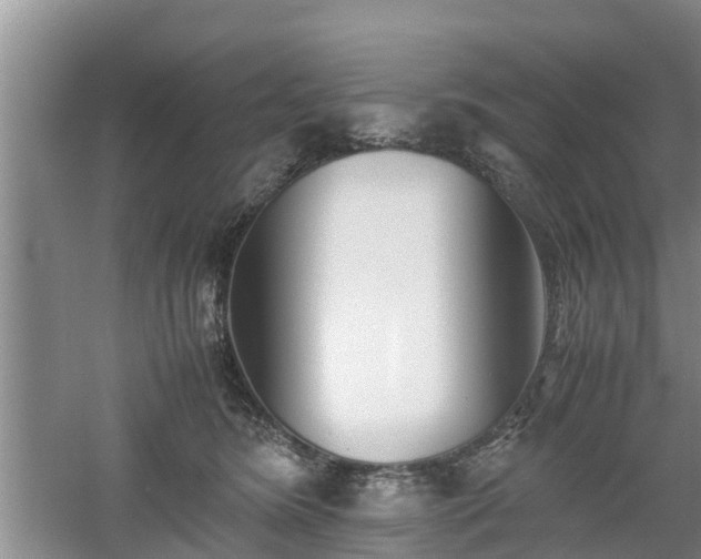 X0000060780420200511141422