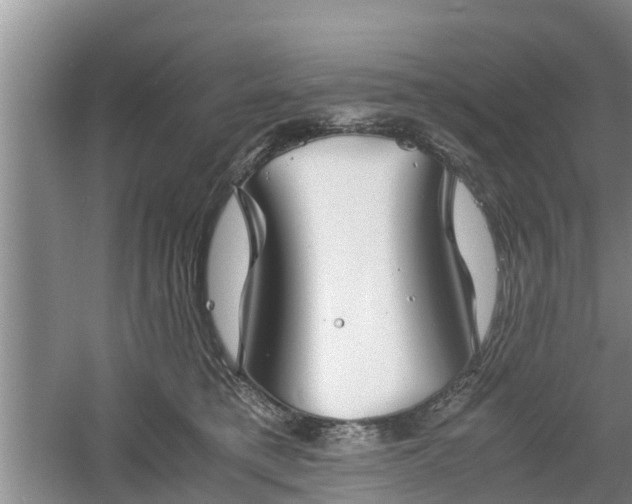 X0000060780421200511141422