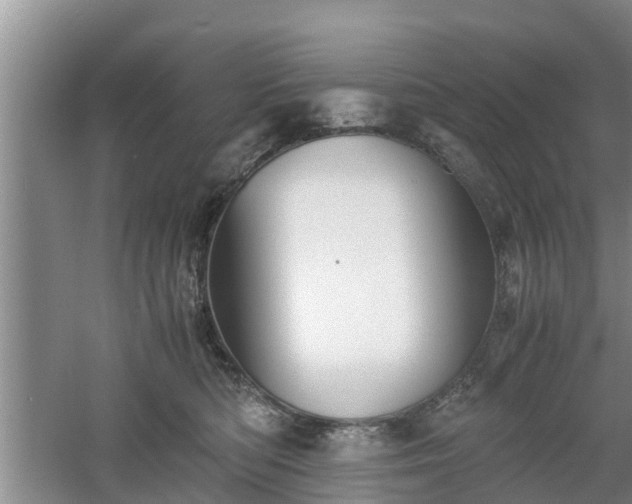 X0000060780422200511141422