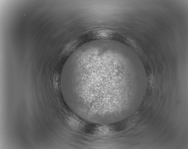 X0000060780423200511141422