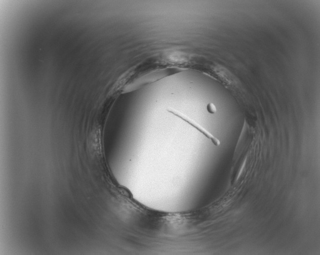 X0000060780425200511141422