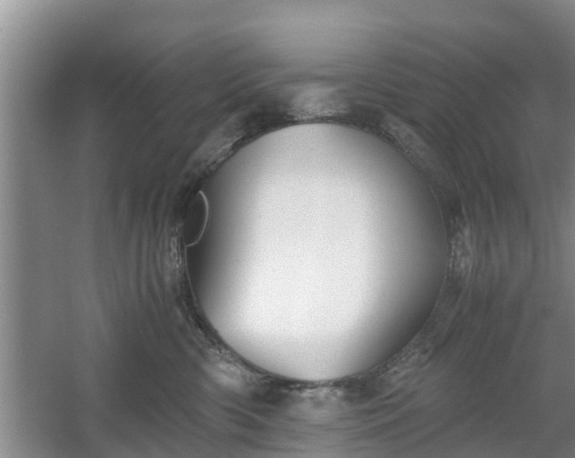 X0000060780426200511141422