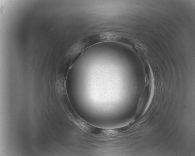 X0000060780429200511141422