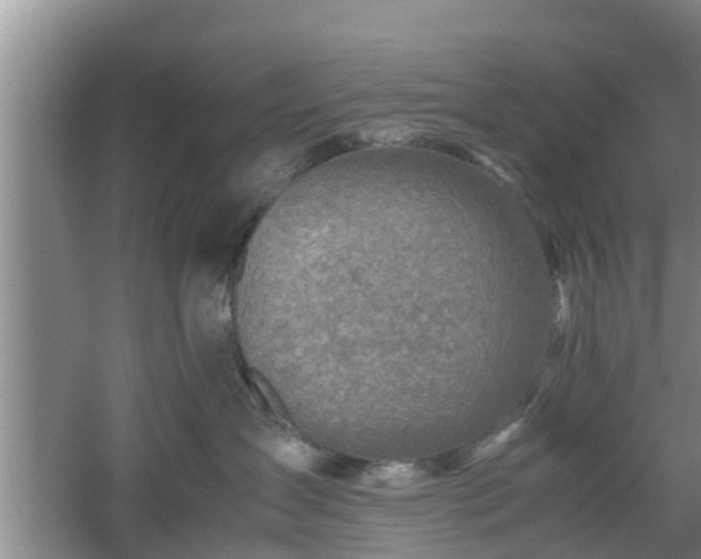 X0000060780431200511141422