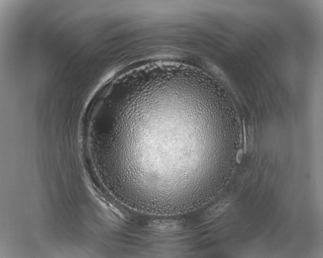 X0000060780435200511141421