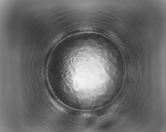 X0000060780441200511141421