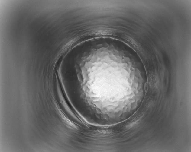 X0000060780445200511141421